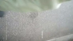 预览图5