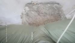 预览图7