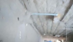 预览图9