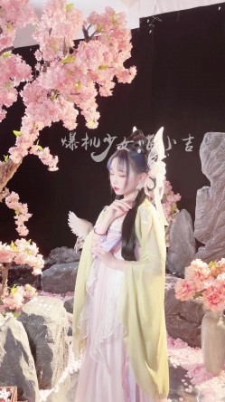 预览图4
