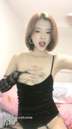 预览图14