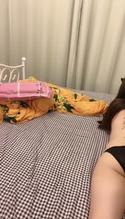 预览图12