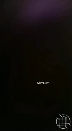 预览图4