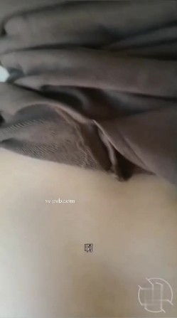 预览图12