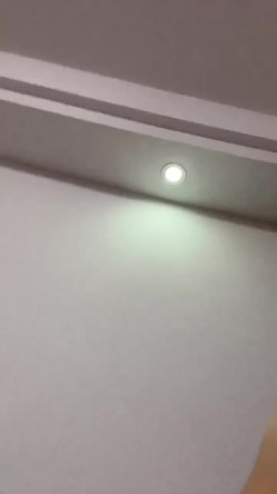 预览图12