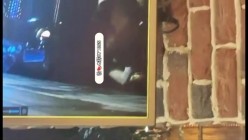 预览图6