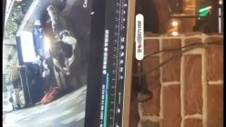 预览图10