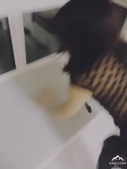 预览图8