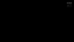 预览图8