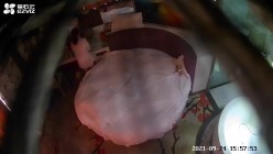 预览图1