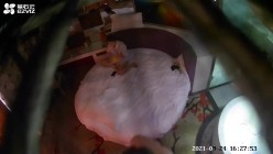 预览图12