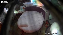 预览图16