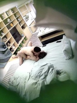 预览图13