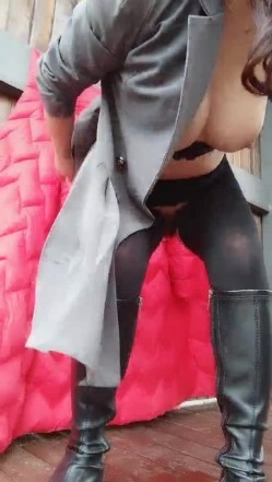 预览图12