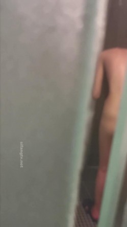 预览图4