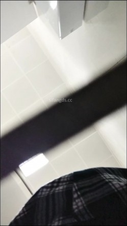 预览图8