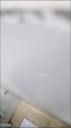 预览图11