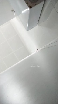 预览图12
