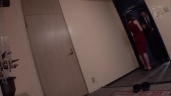 预览图16