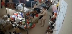 预览图8