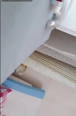 预览图4