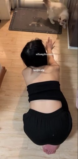预览图1