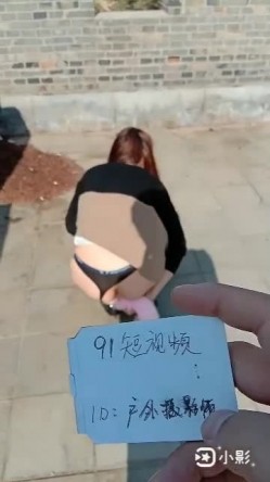 预览图4