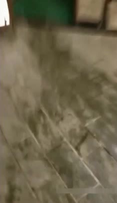 预览图5