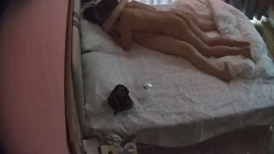 预览图12