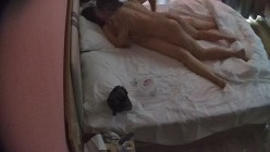 预览图13