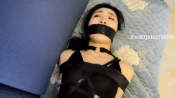 预览图14