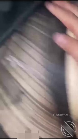 预览图15