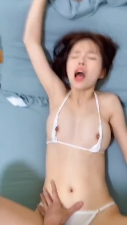 预览图14