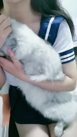 预览图7