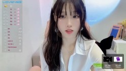 预览图13