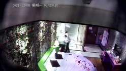 预览图1