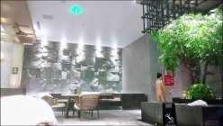 预览图5