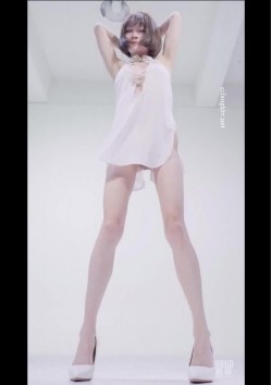 预览图5