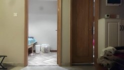 预览图14
