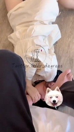 预览图12
