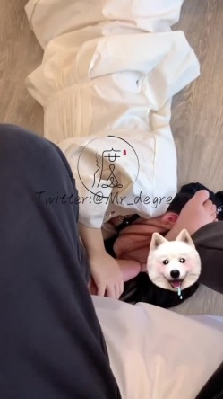 预览图13