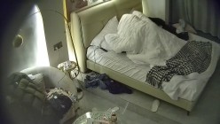预览图4