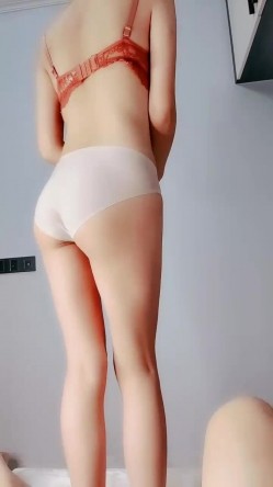 预览图5