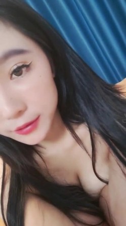 预览图4