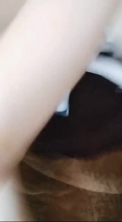 预览图10