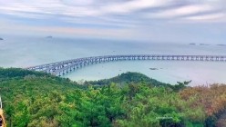 预览图12