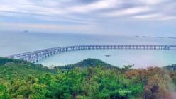 预览图13