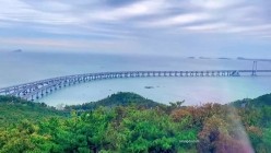 预览图14