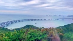 预览图15