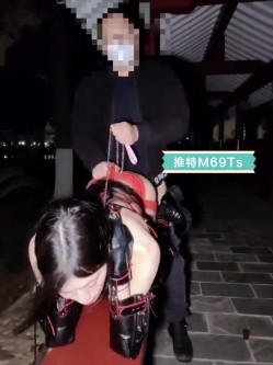 预览图8